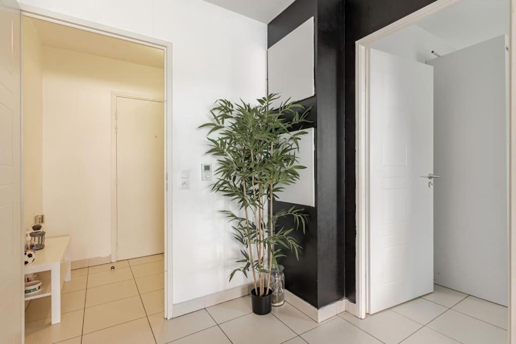 Appartement Cosy Et Chic Montpellier Exterior photo